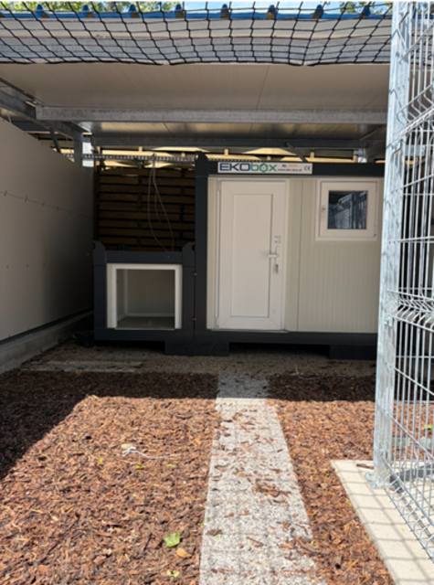 Neuer Zwinger der Arche Noah