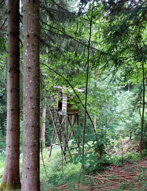 Foto: H.Bachinger