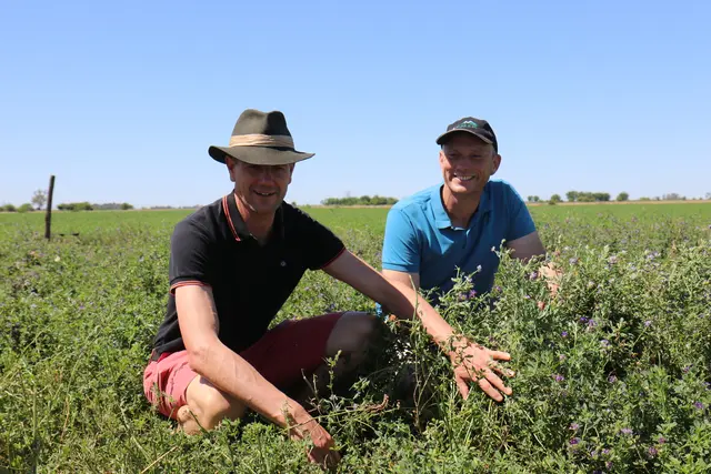 In Argentinien: Die Rinderbauern Alois Kiegerl und Anibal Fretes haben sich auf Anhieb verstanden. Fretes zeigt sein Luzernheu.
 | Foto: Lukas Nistelberger, Welthaus, INCUPO