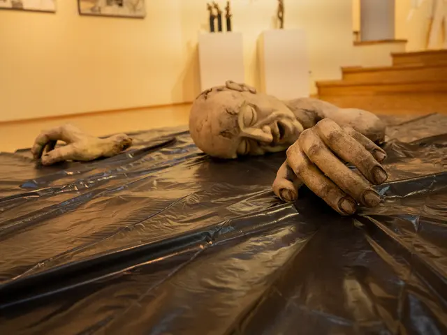 Der menschliche Körper steht im Mittelpunkt einer neuen Ausstellung in der Stadt Kapfenberg. | Foto: Stadtgemeinde Kapfenberg/Nindl
