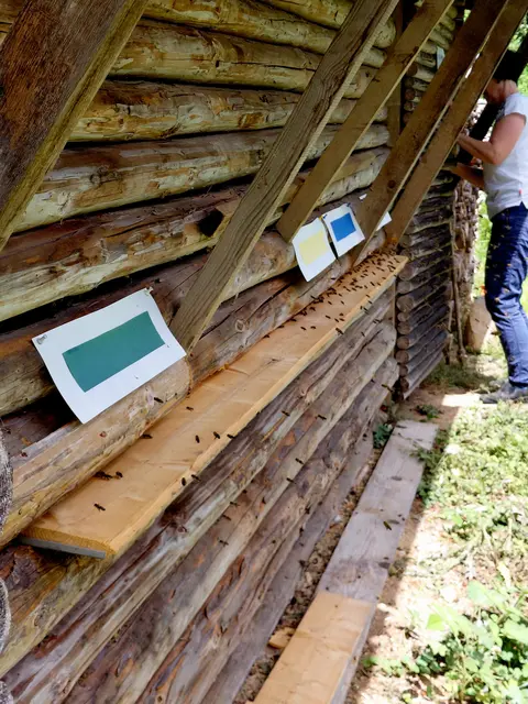 Arbeit beendet, die Hütte wird abgeschlossen.  | Foto: H.Bachinger