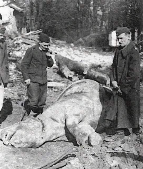 Zahlreiche Gehege und Gebäude wurden zerstört, viele Tiere verloren ihr Leben.  | Foto: Tiergarten Schönbrunn