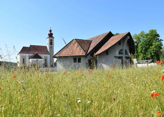 "Blühender Friedhof": Hinter der Aufbahrungshalle in Bad Wimsbach entstand neuer Lebensraum für Bienen, Schmetterlinge und Co. | Foto: Bienezentrum OÖ