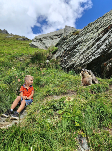 Großglockner Hochalpenstraße | Foto: Pahr