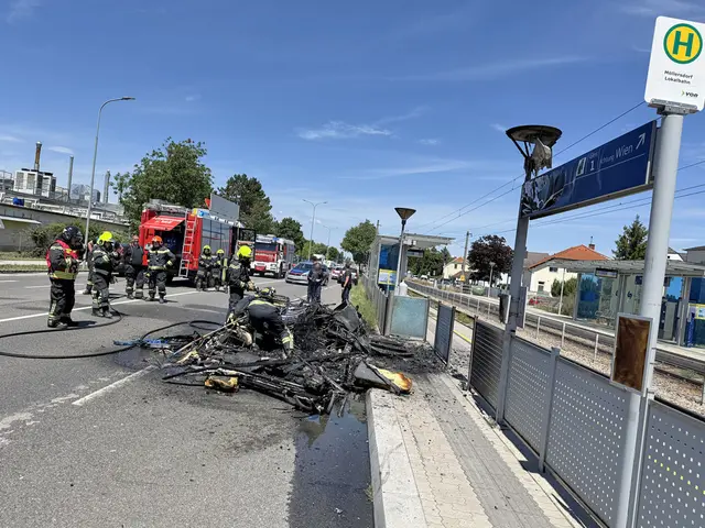Foto: BFKDO BADEN / Stefan Schneider