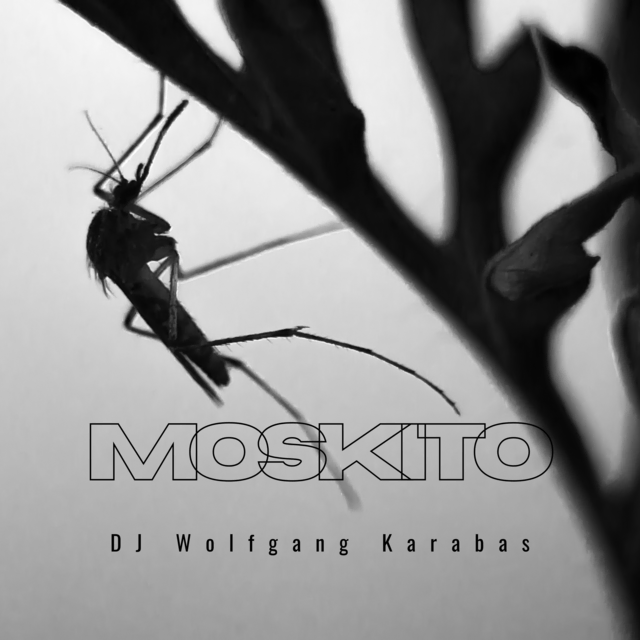 Der Anti Moskito Song von DJ Wolfgang Karabas bringt absolutes Charts Potenzial mit.  | Foto: Wolfgang Karabas/Waldklee Records