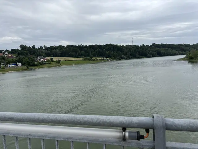 Donau-Altarm Wallsee/Mitterkirchen | Foto: MeinBezirk Perg/Köck