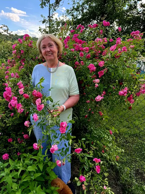 Gerlinde Hofbauer mit ihrer alten Rose „Tausendschön". | Foto: privat