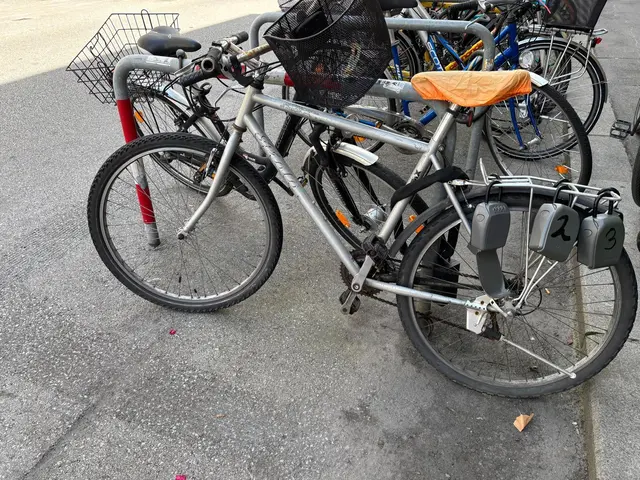 Diese Fahrrad kursierte vor Kurzem in den sozialen Medien: die Schlüsselschlösser für Innsbrucker AirBnB-Wohnungen auf öffentlichem Grund. | Foto: Königer