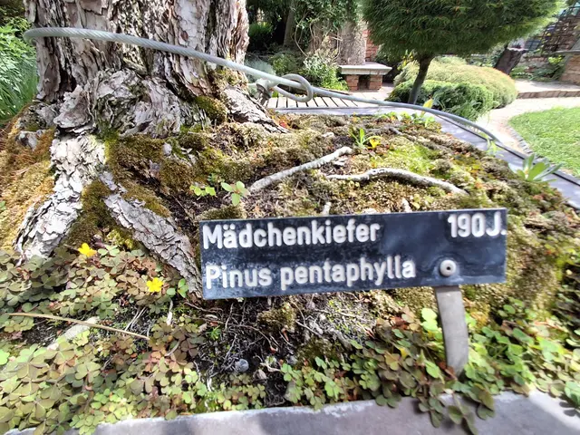 Foto: Gold Michaela
