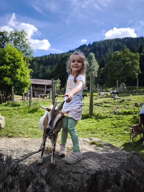 Alpenwildpark &amp; Naturstadel Feld am See | Foto: Wernig