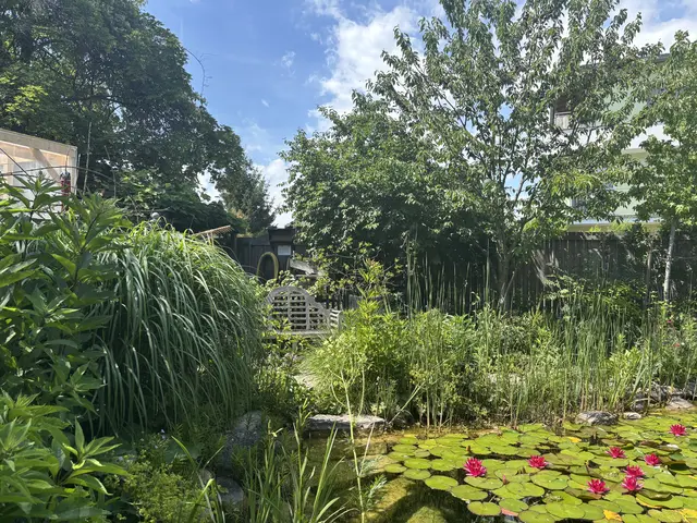 Mehr als nur ein Garten: „Rainbowsend“ ist für die Webers ein Wohnraum unter freiem Himmel und ein Ort zum Durchatmen | Foto: Lina Chalusch