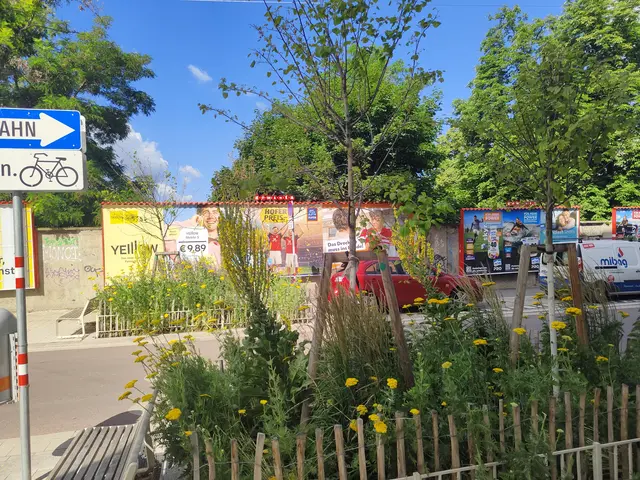 EIn paar Bäume in der Argentinierstraße tragen wenig Blätter. Ein Anrainer ist besorgt, die Wiener Stadtgärten beruhigen. | Foto: zVg