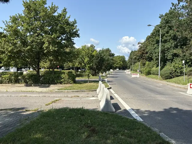 Die Filmteichstraße ist bei Roadrunnern beliebt. Mehrere Maßnahmen wurden bereits getroffen, Bodenschwellen sollen die Szene endgültig verdrängen. | Foto: Andreas Pölzl/ MeinBezirk