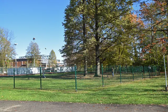 Das war die beliebte Hundewiese im Koralmpark.
