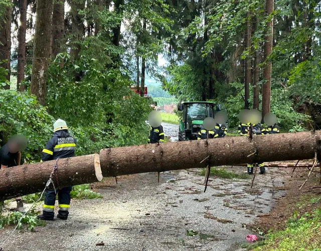 Foto: Feuerwehr Wernberg
