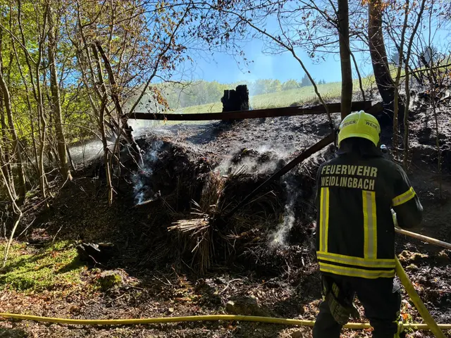 Aufgrund der allgemeinen Trockenheit hat es auch in Klosterneuburg heuer schon Waldbrände gegeben - wie etwa hier am Steinriegl. | Foto: FF Weidlingbach