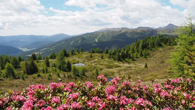 Im Zechnerkar mit Blick zum Fanningberg