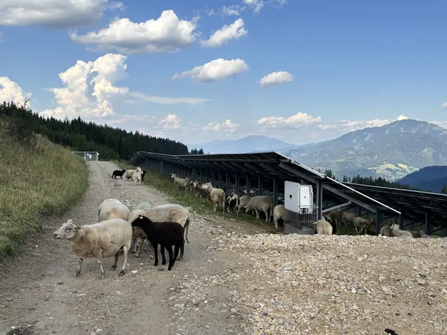 Foto: MeinBezirk/Astrid Moder