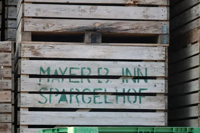 Foto: MeinBezirk/Constance Haslberger
