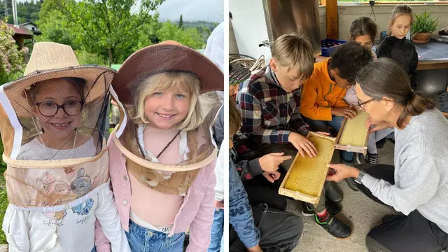 Die Kinder hatten viel Spaß, in die Welt der Bienen einzutauchen.  | Foto: VS Latschach