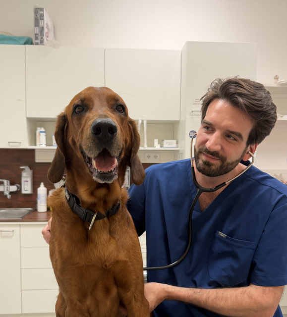 Hund Willi ganz entspannt beim Abhören seines Herzens.  | Foto: Simon Reinelt/derviechdoktor