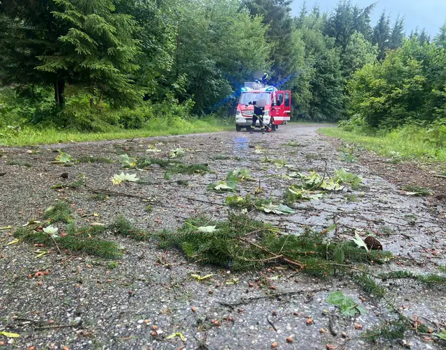 Foto: Feuerwehr Wernberg