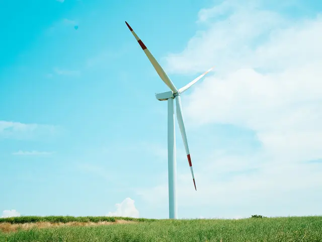 Energiewende in Niederösterreich schreitet voran. | Foto: Pexels