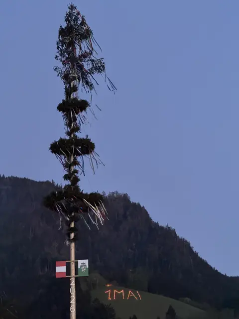 Der Baum in seiner ganzen Pracht: Er wurde am 1. Mai aufgestellt. | Foto: MeinBezirk/Nathalie Polz