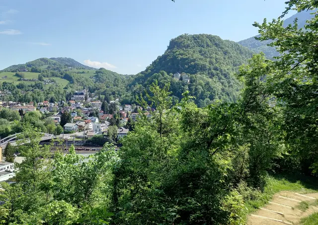 Heuberg, Kühberg | Foto: H.Bachinger 