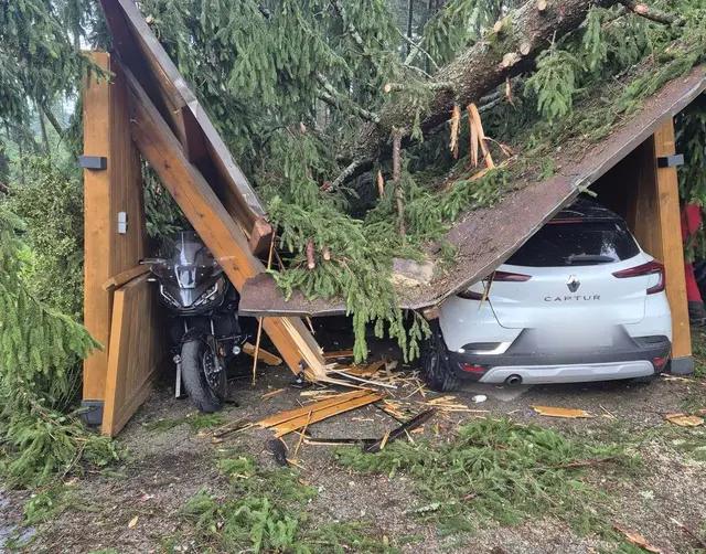 Ein Baum stürzte durch das Unwetter auf ein Carport in der Ortschaft Trabenig. | Foto: Feuerwehr Wernberg