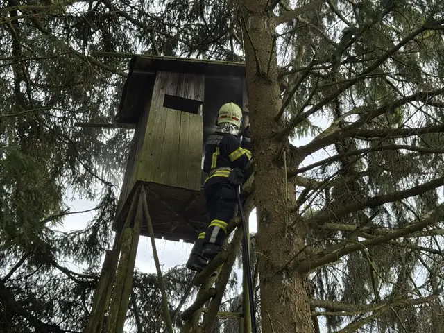 Ersthelfer konnten den Brand eines Hochstandes in Laakirchen eindämmen. | Foto: Feuerwehr Laakirchen