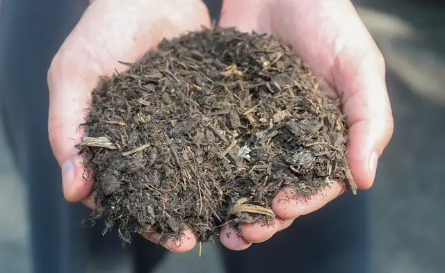 Der Kompost mit der Qualität A+ aus Roppen. Die Überprüfung auf Mikroplastik und PFAS wird vom Land Tirol jedoch nicht vorgeschrieben. | Foto: Tristan Heltschl