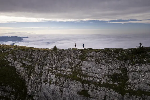 Nur für die Härtesten unter den Harten: Der Ötscher Trail in Lackenhof | Foto: Ötscher Trail