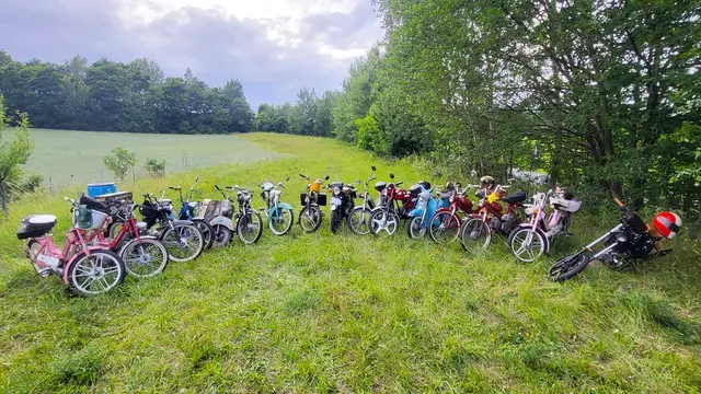 Youngtimer mit Seele: So sehen die Puchfreunde ihre liebevoll gepflegten Mopeds aus sechs Jahrzehnten. | Foto: Eckhart Herbe