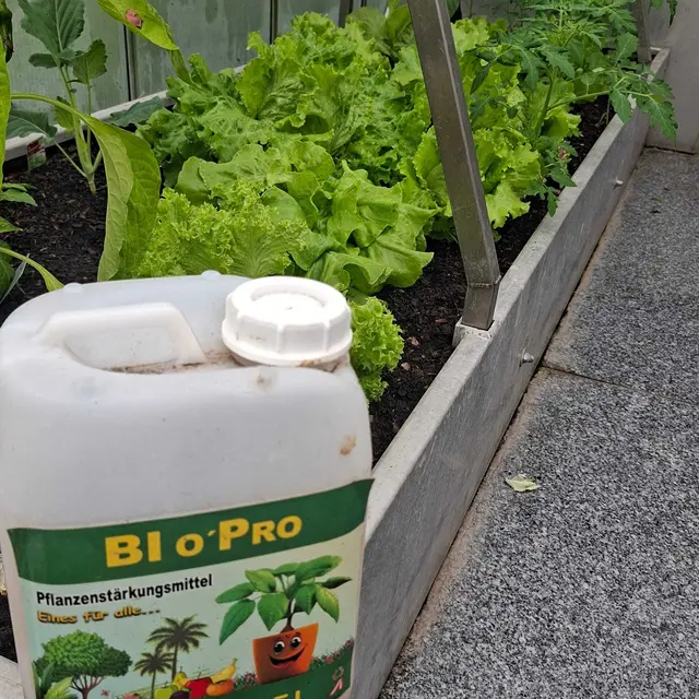 "Bio Pro" aus Gars am Kamp sorgt für natürlich starke Pflanzen! | Foto: Manuela Danzinger