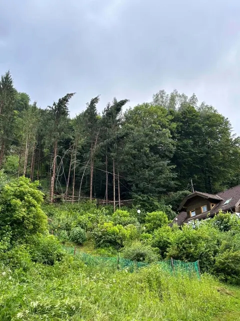 Foto: Feuerwehr Ossiach