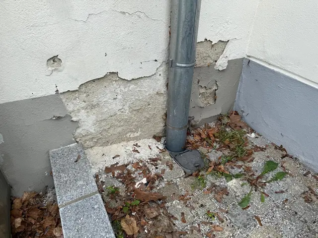 Foto: Wirtschaftsrat Wiesen
