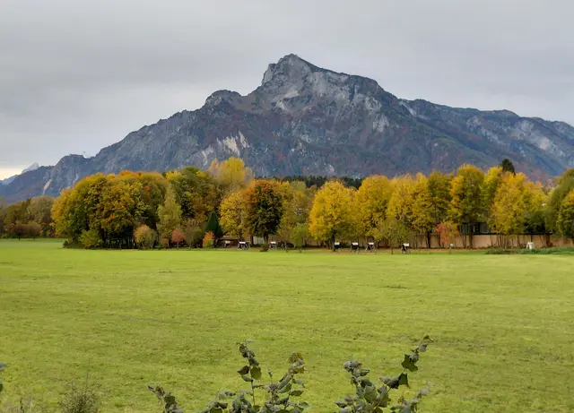 Hellbrunner Allee und Untersberg  | Foto: H.Bachinger