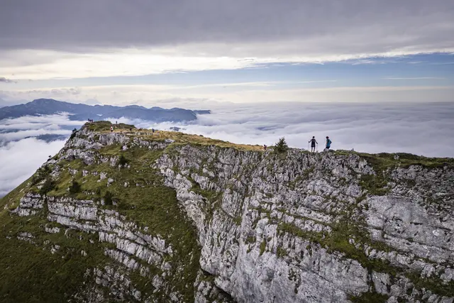 Nur für die Härtesten unter den Harten: Der Ötscher Trail in Lackenhof | Foto: Ötscher Trail