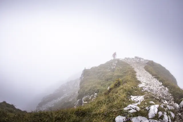 Nur für die Härtesten unter den Harten: Der Ötscher Trail in Lackenhof | Foto: Ötscher Trail