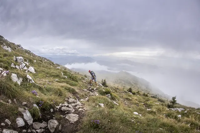 Nur für die Härtesten unter den Harten: Der Ötscher Trail in Lackenhof | Foto: Ötscher Trail
