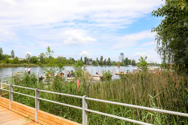 Erhitzte Gemüter finden an der Alten Donau einen niederschwelligen Ort zum Abkühlen. | Foto: Stadt Wien/Christian Fürthner