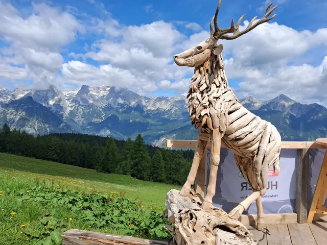 Der fesche HIRSCH "KONRAD" aus Holzteilen gearbeitet, steht seid 12. Dezember 2025, bei der Hirschalmhütte und darüber war ich sehr erfreut.
Ein echte cooles "KUNSTWERK".