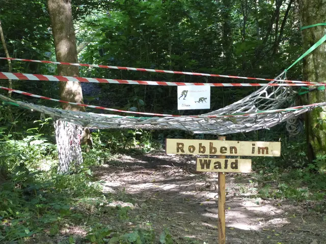 Foto: Vanessa Wittmann