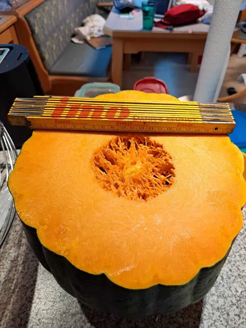 "Langer von Neapel" mit über 10 Kilo.  | Foto: Monika Busch
