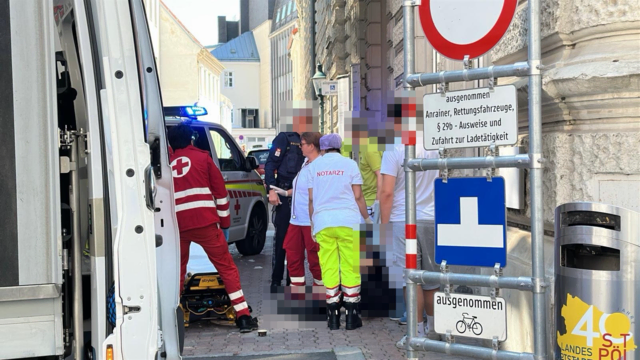Die Rettungskräfte vor Ort. | Foto: DOKU-Niederösterreich