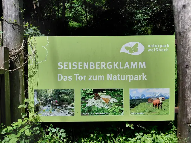 Foto: H.Bachinger