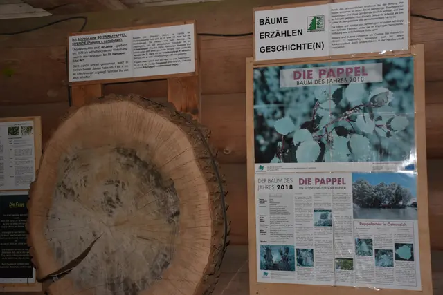Foto: Zinterhof