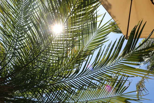 Wie im Urlaub: Auch in der kommenden Woche klettert das Thermometer in der Steiermark regelmäßig über 30 Grad.  | Foto: unsplash / Alondra S